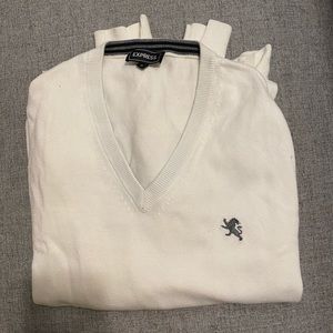 Express V-Neck Sweater